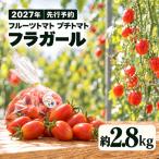 フルーツトマト プチトマト フラガール 約2.8kg