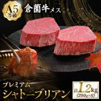 厳選宮崎牛メス指定 A5等級シャトーブリアン 1.2kg