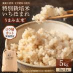 特別栽培米 いちほまれ うまみ玄米 5kg