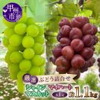 厳選ぶどう詰合せ シャインマスカット&マイハート 約1.1kg