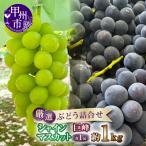 厳選ぶどう詰合せ シャインマスカット&巨峰 約1kg