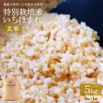 特別栽培米 いちほまれ 玄米 5kg