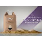 最高金賞受賞 栽培期間中農薬5割減栽培