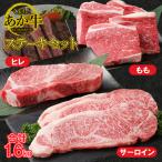 GI認証 くまもとあか牛 贅沢 ステーキ 3種 食べ比べ