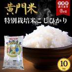 米 コシヒカリ 令和8年度米 白米 10kg