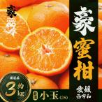 豪蜜柑 小玉 3kg