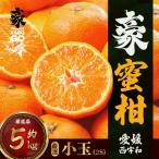 豪蜜柑 小玉 5kg