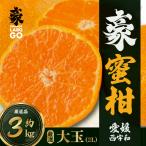豪蜜柑 3kg