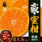 豪蜜柑 5kg
