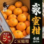 豪蜜柑 5kg