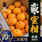 豪蜜柑 10kg