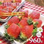 令和9年 予定 不揃い粒のいちごさん 960g