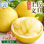 文旦 約5kg