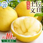 文旦 約10kg