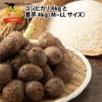 コシヒカリ 4kg 青大豆味噌 1袋 里芋 3kg セット
