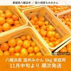 八幡浜産 温州みかん 5kg