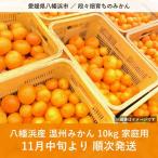 八幡浜産 温州みかん 10kg