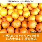 八幡浜産 小玉みかん 3S~S 5kg