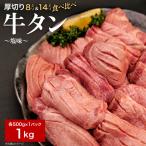 豪快 厚さ違い食べ比べ 8mm塩味500g×14mm塩味500g 計1kg