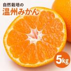 温州みかん 5kg