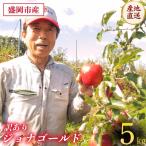果物の詰合せ 訳あり 旬の盛岡りんご 5kg 品種2種以上詰め合わせ