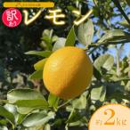 訳あり レモン 約2kg