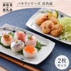 パキラシリーズ 長 角皿 2枚セット プレート