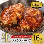 美ら島あぐー ハンバーグ 16個 セット