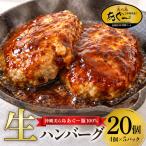 美ら島あぐー ハンバーグ 20個 セット