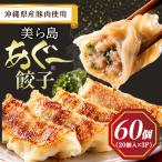 美ら島あぐー餃子 60個セット 20個入×3パック