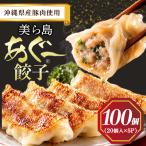 美ら島あぐー餃子 100個セット 20個入×5パック
