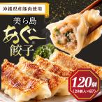 美ら島あぐー餃子 120個セット 20個入×6パック