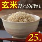 SE0641 令和8年産 ひとめぼれ 25kg