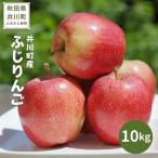 ふじりんご 10kg