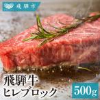 飛騨牛ヒレブロック ステーキ 500g