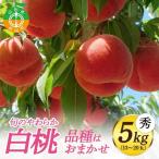 白桃 やわらかくなる桃 5kg