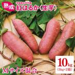 熟成 紅はるか生芋 Mサイズ 混合 10kg