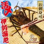訳あり 活〆冷凍 伊勢海老 2匹