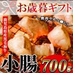 鹿児島 黒毛和牛 小腸 700g
