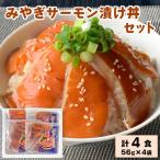 みやぎサーモン漬け丼セット