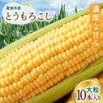 とうもろこし おおもの10本入り