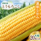 とうもろこし おおもの20本入り