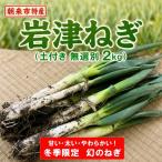 岩津ねぎ 土付き 太さ無選別 2kg