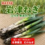 岩津ねぎ 土付き 太さ無選別 4kg