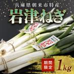 特別栽培 岩津ねぎ1kg