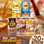 森永乳業 リプトン バラエティパック 5種