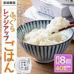 ふっくらレンジアップごはん 約150g