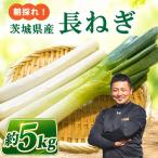 長ネギ 約 5kg
