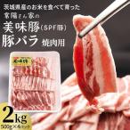 のお米を食べて育った 常陽さん家の美味豚
