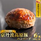 京丹波高原豚ハンバーグ 900g